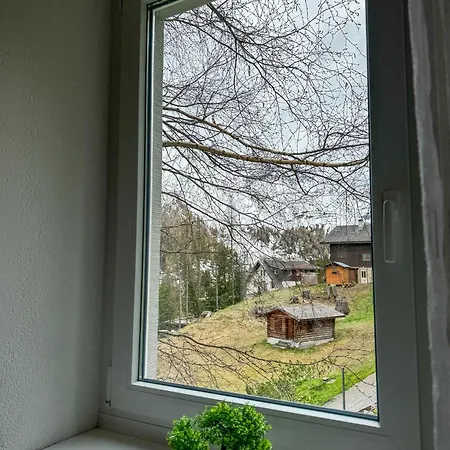 Moderne Gemuetliche In Zentraler Lage Von Flims