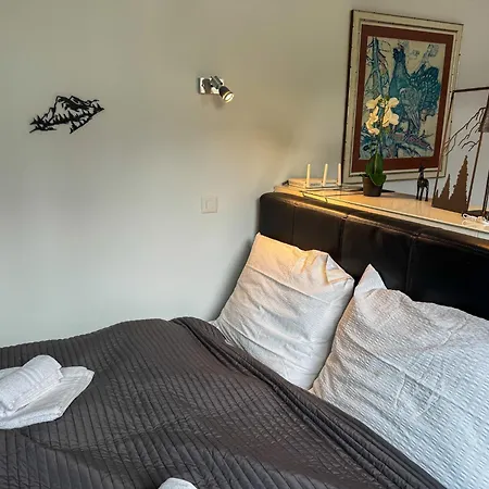 Stylisches Mit Bergblick & Zentral Flims